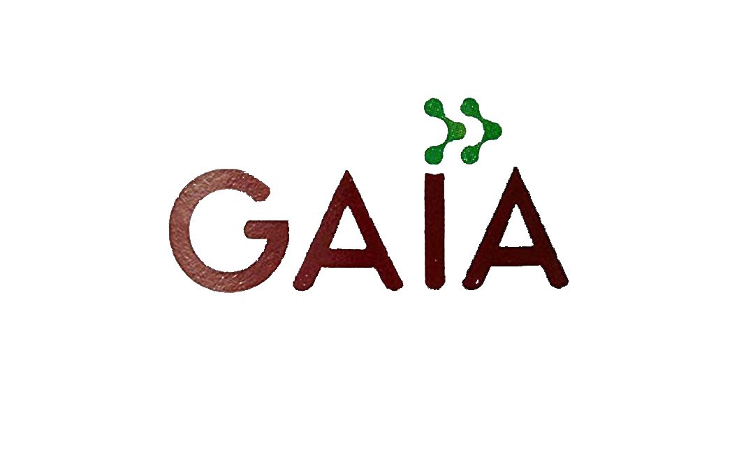 Gaia Green Tea + Honey & Lime    Box  25 pcs